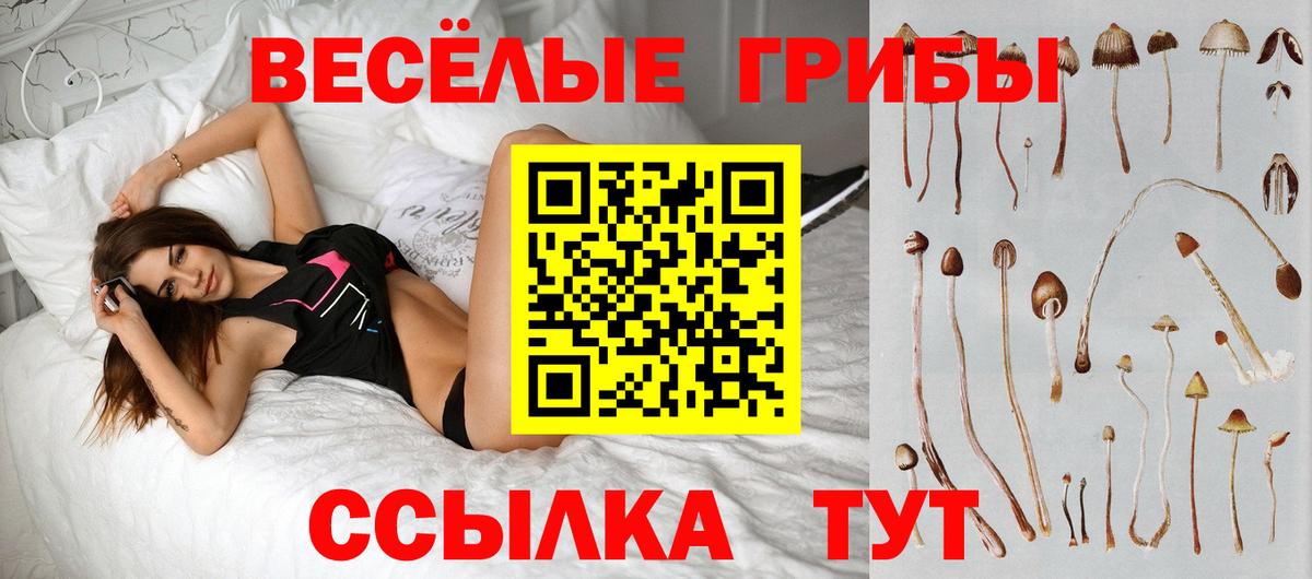 Псилоцибиновые грибы MAGIC MUSHROOMS  Псилоцибиновые грибы мицелий  Нарткала  Вход с VPN 