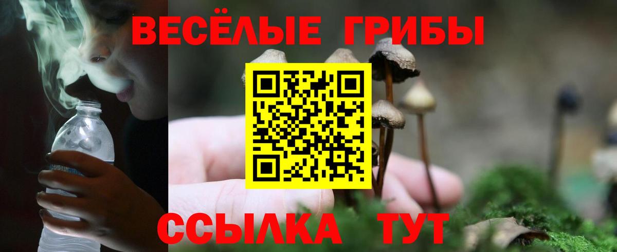 Галлюциногенные грибы мицелий Нарткала